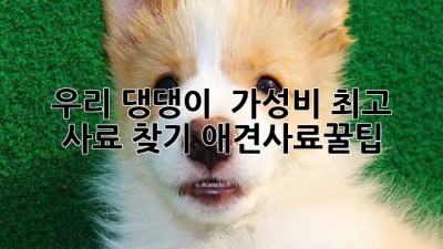 우리 댕댕이 🐶 가성비 최고 사료 찾기! #애견사료꿀팁