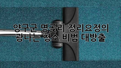 양구군 명곶리 정리요정🧚‍♀️의 ✨광나는✨ 청소 비법 대방출!