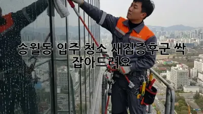 송월동 입주 청소✨ 새집증후군, 싹 잡아드려요!